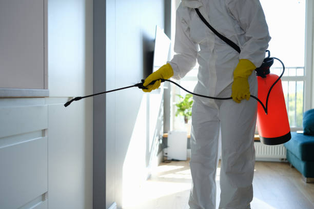 Mold Testing and Removal in Gainesboro, TN