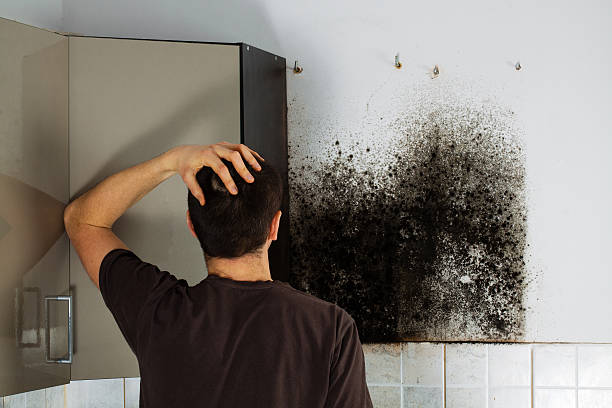 Best Home Mold Removal  in Gainesboro, TN